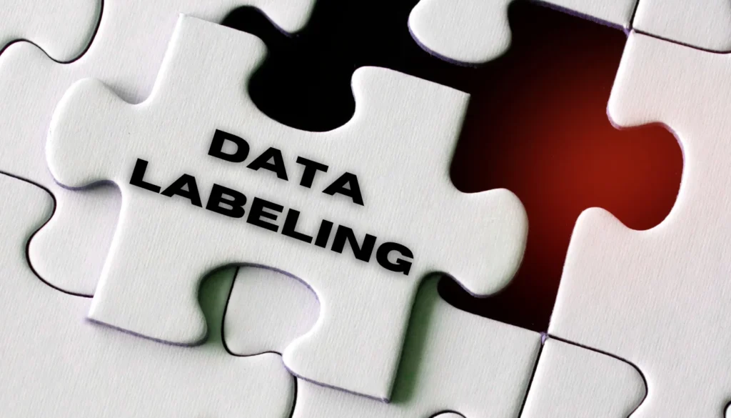 Data Labeling Strategy